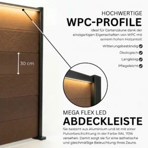 5.webp