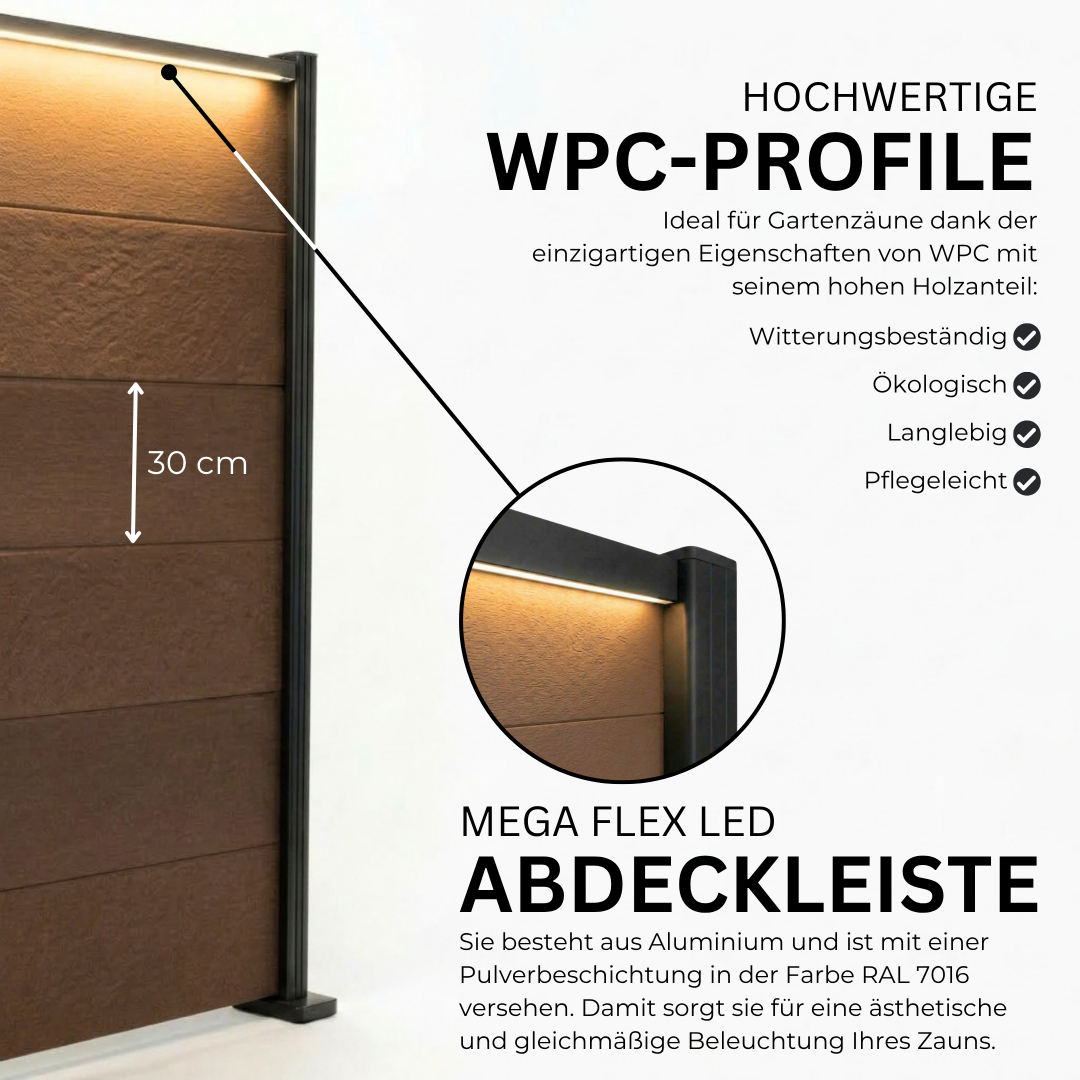 5.webp