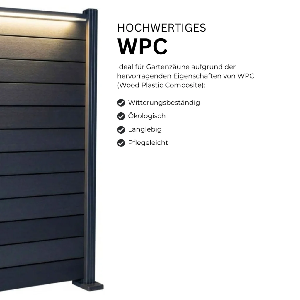 3.webp