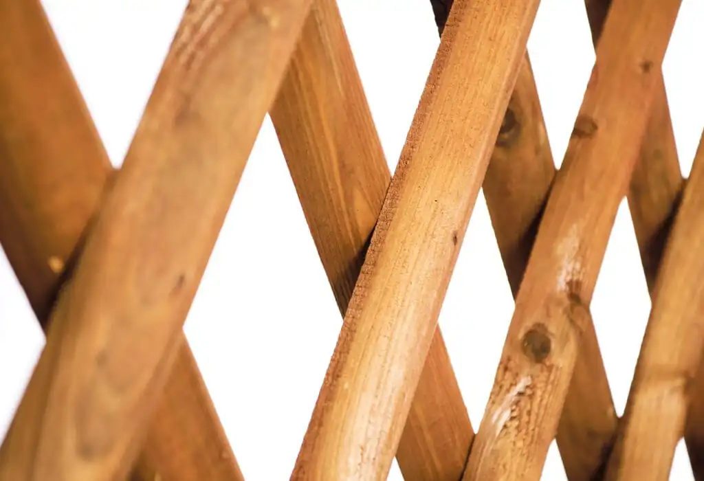 61885_Product-scaled