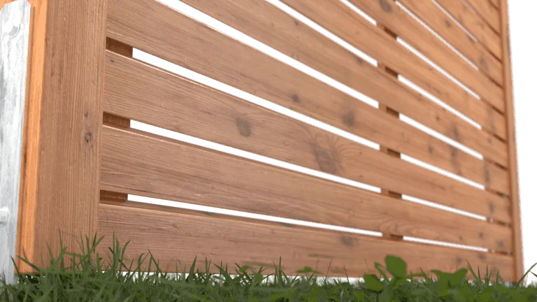 Rhombus pine_still3