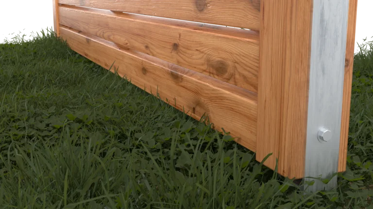 Rhombus pine_still4