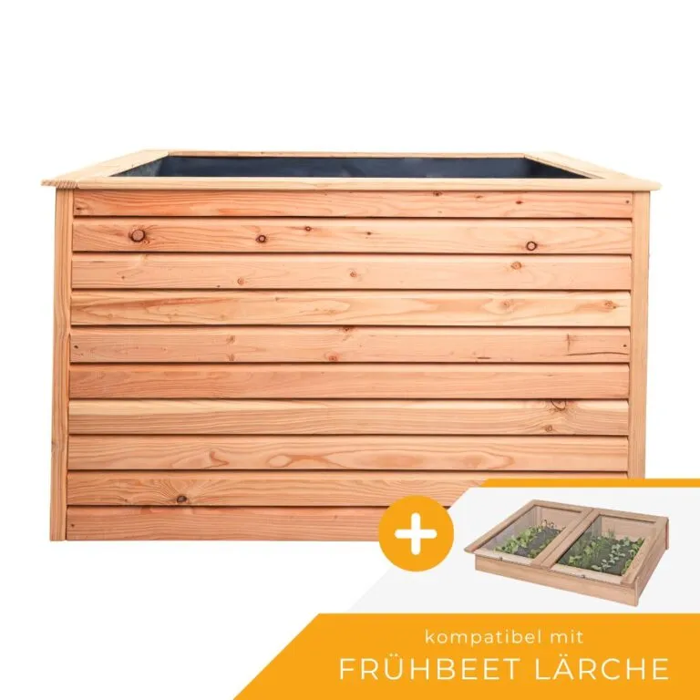 RhombusFruehbeet.jpg