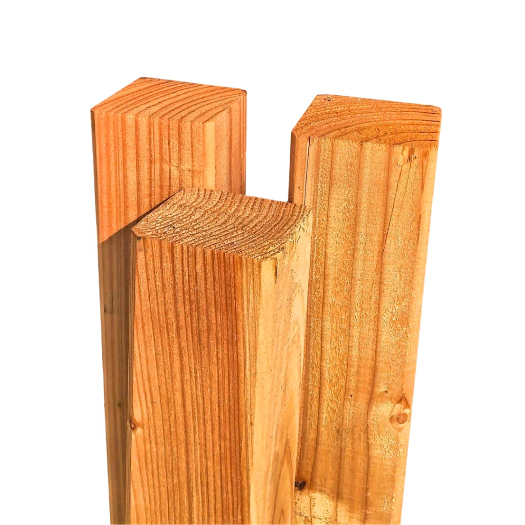 Design ohne Titel (1).png