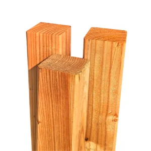 Design ohne Titel (1).png