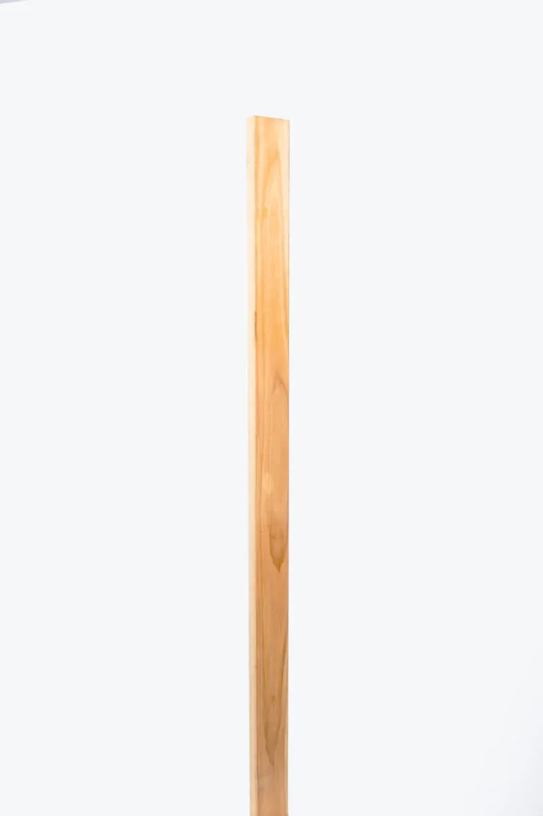 19-Zaunlatte-35.jpg